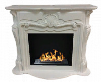 Биокамин ZeFire классический Andromeda