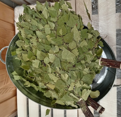 Веник БЕРЕЗА